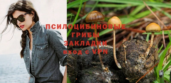 наркотики Карпинск