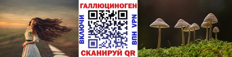 Галлюциногенные грибы Magic Shrooms  Купить  Заинск 